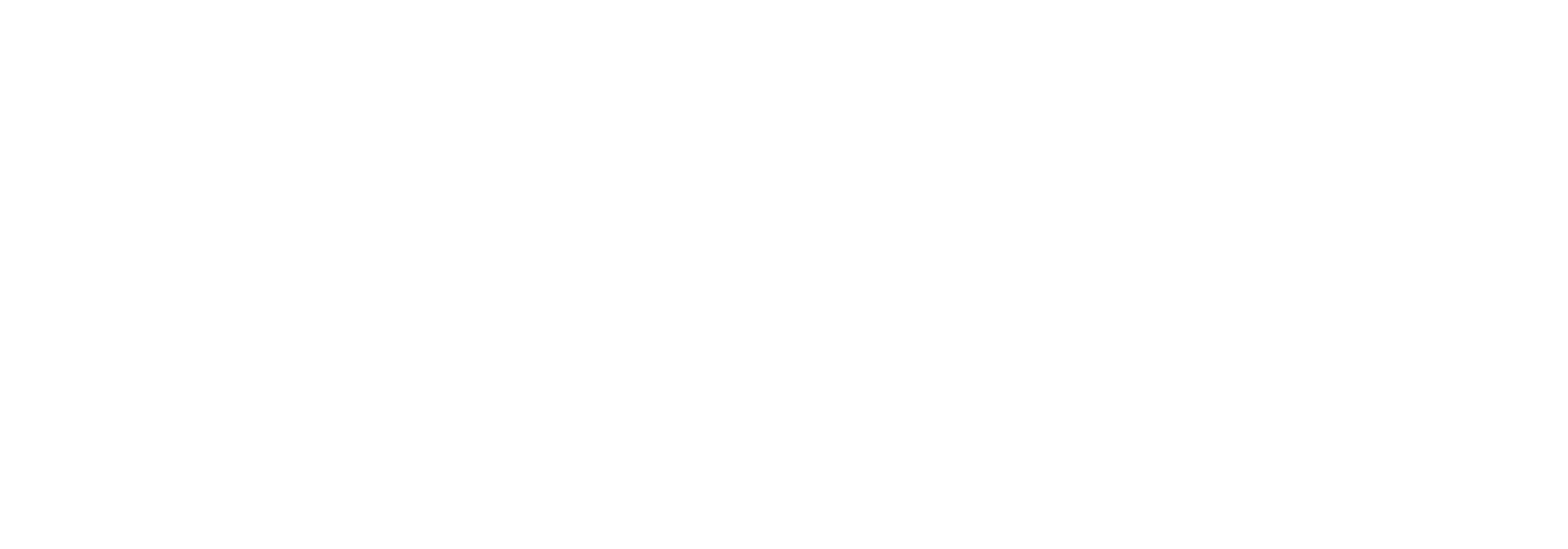 Logo 6 - VisionX tərəfdaşı